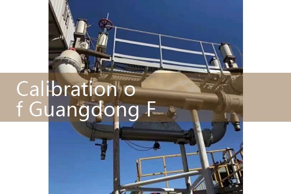 Guangdong flowmeter calibration